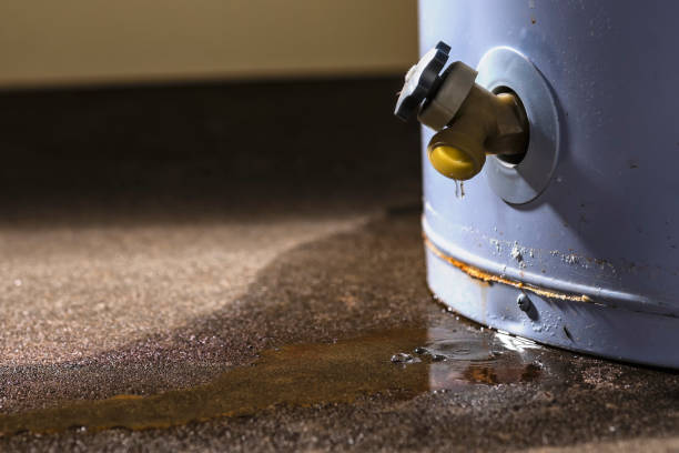 Best 24-hour water damage restoration  in Oak Ridge, NC