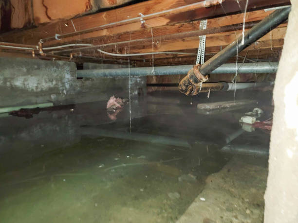 Best Sewage cleanup and water damage restoration  in Oak Ridge, NC