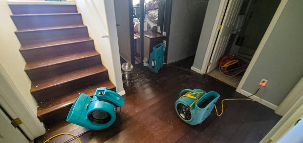 Best Residential water damage restoration  in Oak Ridge, NC