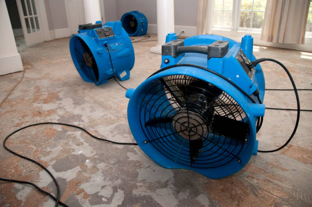 Best Mold removal after water damage  in Oak Ridge, NC