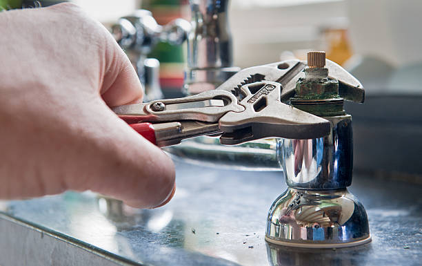Best Mold removal after water damage  in Oak Ridge, NC