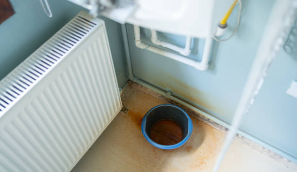 Best Flood damage cleanup  in Oak Ridge, NC