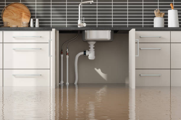 Best Water damage restoration near me  in Oak Ridge, NC