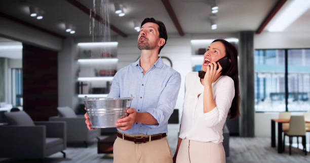 Best Basement water damage restoration  in Oak Ridge, NC